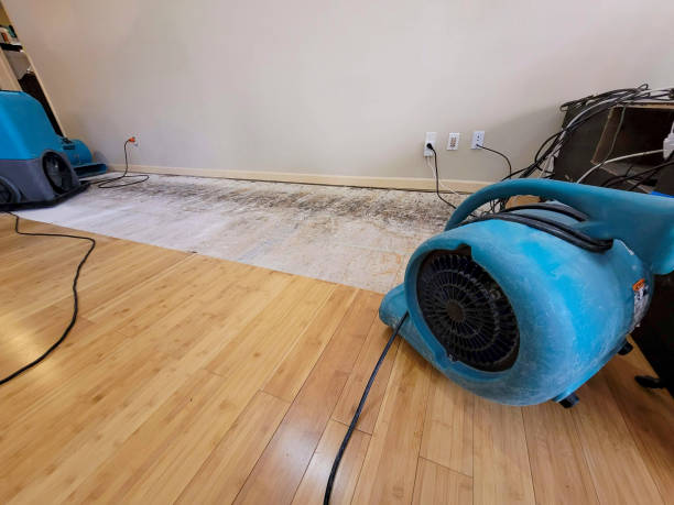 Professional Structural Drying technician working in Woodland, MI